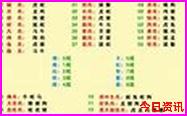 新奥2024正版资料完贾